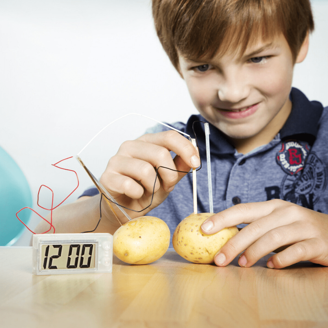 4m 2024 potato clock