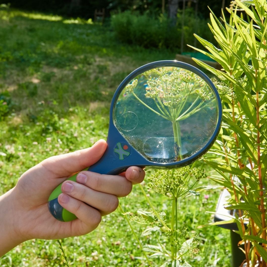 HABA Children's magnifying glass